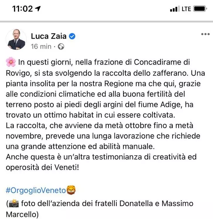 Post Zaia Zafferano polesano